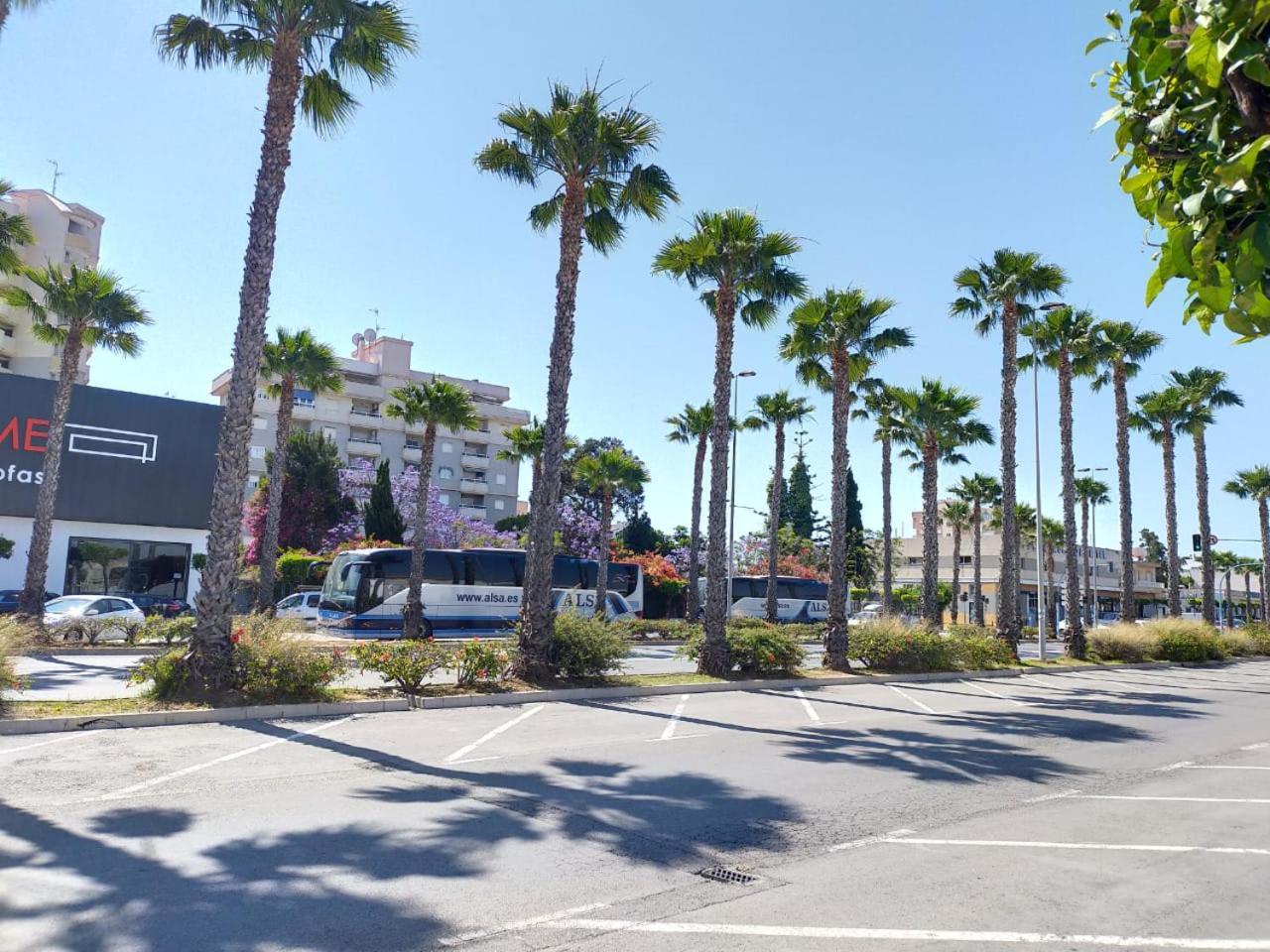 Estudio Comodo En Torrevieja Dış mekan fotoğraf
